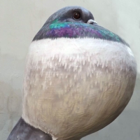 grossplastiken_taube_grau-bunt