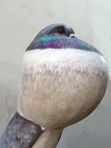 grossplastiken_taube_grau-bunt