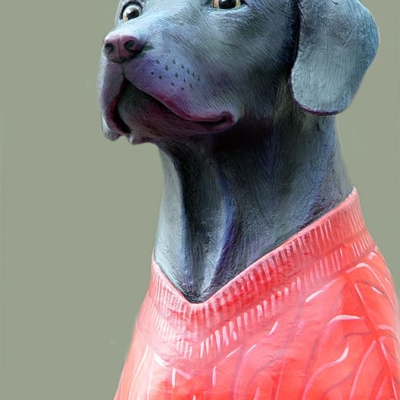 5-hundeportraet