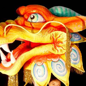 china_drache-fuer-tanzgarde